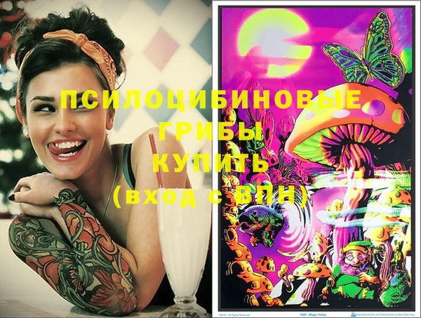 прущие крисы Белокуриха