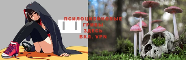 спиды Белоозёрский