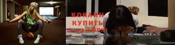 прущие крисы Белокуриха